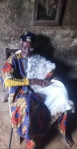 THE BEST POWERFUL SPIRITUAL HERBALIST MAN AND NATIVE DOCTOR IN NIGERIA