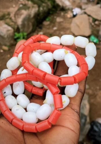 The Most Powerful Spiritual Traditional Native Doctor In Nigeria