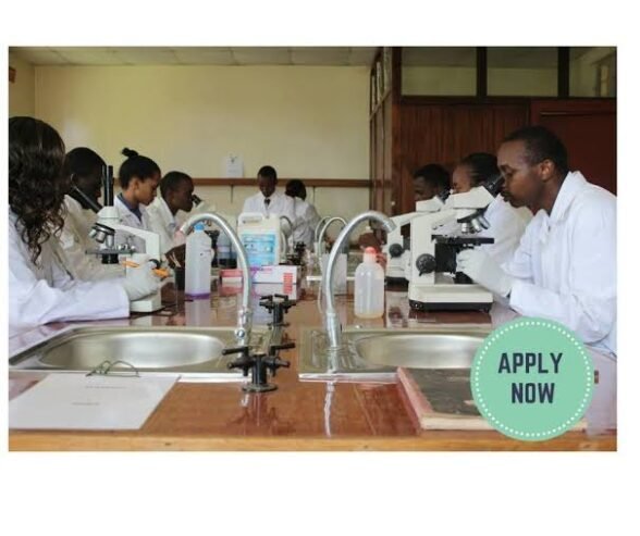 Interlink College of Health Technology, Ijebu-jesa, Osun State ADMISSION(08063557123) FORMS 2025/202 …