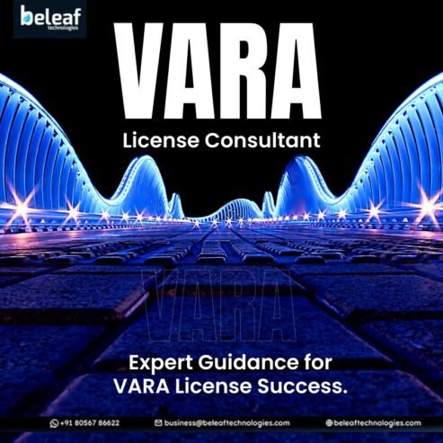 Leading VARA License Experts for Crypto Businesses – Beleaf Technologies