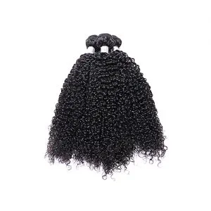 Fashion High Quality Malaysian Virgin Hair Curly Weave Bundles Human Hair Extensions Natural Black 8-26inch