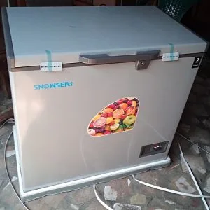 Snowsea Chest Deep Freezer - Model BD300G