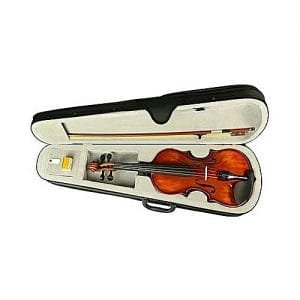 Generic 4/4 Violin Complete Set