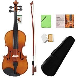 Generic ASTONVILLA Durable 4/4 Acoustic Violin With Storage Case Musical Instrument Accessories