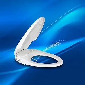 Generic Non-electric Bidet Toilet Seat With Cover Mechanical Toilet Lid Self Cleaning Dual Nozzle