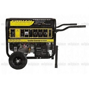 Firman Generator FPG8800E2