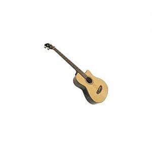 UK ACTIVE ACOUSTIC 4 STRING BASS GUITAR
