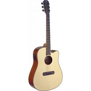Generic Pro Semi Acoustic Guitar