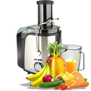 Rite-tek 800 Watts Juice Extractor With Copper Coil